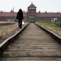 Intrarea în lagărul de exterminare de la Auschwitz-Birkenau