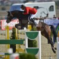 Salturile lui Brutus l-au ferit de penalizări pe Radu Ilioi în drumul său spre prima poziţie a podiumului FOTO: Raed Krishan