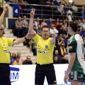 Momentul în care cei doi arbitri germani îi arată lui Amorim eliminarea de 2 minute // Foto: Alex Nicodim