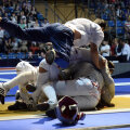 Grămada bucuriei, cu Mihai Covaliu aruncîndu-se acrobatic deasupra, după victoria cu Ungaria