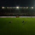 Captură: DigiSport
