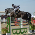 foto: salonulcalului-equestria.ro