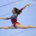 Larisa Iordache