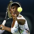 Venus Williams, foto: reuters