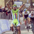 Peter Sagan, foto: twitter Cannondale