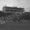 Steaua Bucureşti – OFK Beograd, scor 2-2