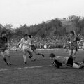 Mulțescu a început fotbalul la juniorii Stelei, dar s-a consacrat la Dinamo