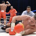 Pulev pus la pămînt pentru a 4-a oară şi definitiv de Kliciko