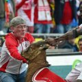 Îngrijitorul încearcă să-l salveze pe Hennes din mîinile lui Ujah
Foto: Bild Zeitung