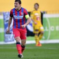 Alexandru Bourceanu,nervos