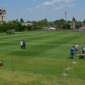 Foto: viata-libera.ro