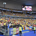 Peluza galbenă de pe Stade de France
