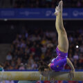 Larisa Iordache