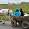 Pe drumul către stadionul din Ovidiu poți întâlni nu doar limuzine de zeci de mii de euro, ci și căruțe // FOTO Raed Krishan (Ovidiu)
