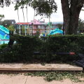 Parcul Disney World