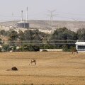 Foto: Raed Krishan/Gazeta Sporturilor