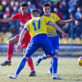 Florinel Coman