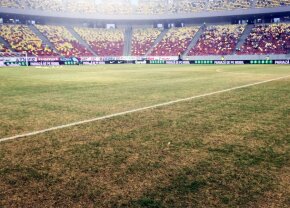 Becali dezvăluie că a plătit pentru schimbarea gazonului de pe Arena Națională: "Eu și Federația am dat bani"