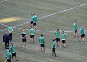 FCSB - Sporting // Portughezii îi critică pe români: "Jucăm pe un câmp de cartofi. Ați făcut-o intenționat?"
