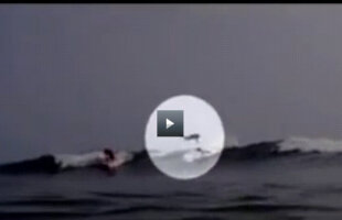 VIDEO INCREDIBIL /  Un rechin sare peste un surfer!