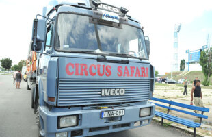 Reunire cu Circ! » Stadionul Oblemenco a evitat în ultimul moment să găzduiască Circul Safari