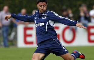 Altă concurenţă pentru Marica » Gazprom vrea să-l aducă pe ”tunarul” Arşavin la Schalke