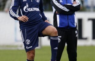 Marica explică de ce nu poate fi titular la Schalke » Care e singura şansă pentru el să prindă echipa