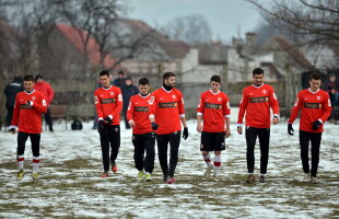 Ziua decisivă la Dinamo » Din trei, aleg doi!