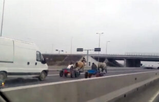 VIDEO Doi căruţaşi s-au luat la întrecere pe Autostrada Soarelui :D