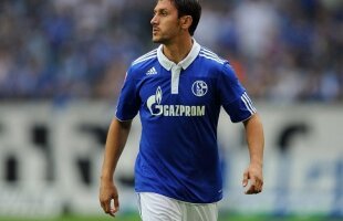 Veste bună pentru Marica! » Schalke îi va prelungi contractul: "Sîntem foarte mulţumiţi"