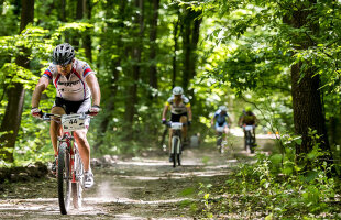 Competiţii pentru toată lumea » Cele mai importante întreceri sportive ale următoarei săptămîni