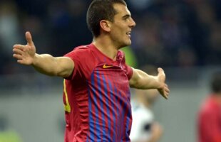 Steaua completează lotul » Nikolici va fi titular în ultimul meci din Anglia