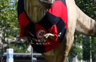 Tyrannosaurus Eintracht » Clubul din Frankfurt a îmbrăcat un dinozaur în tricoul echipei de fotbal :)