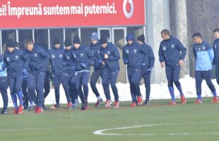 Amicale cu Werder şi Malaga » Programul complet al Stelei în cele două cantonamente de iarnă