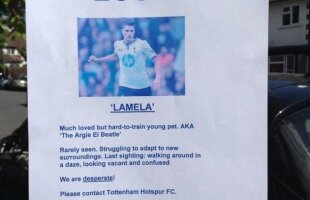 Fanii lui Tottenham au împărţit fluturaşi cu chipul lui Erik Lamela: ”Pierdut animal domestic” :)