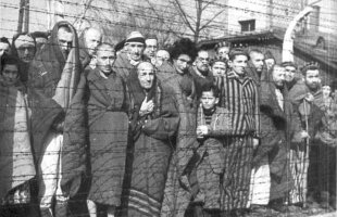 Poveste senzaţională dezvăluită de Gazetă » Un antrenor stelist e acuzat de exterminare în perioada Holocaustului: "A construit o maşină electrică pentru chinuirea evreilor"