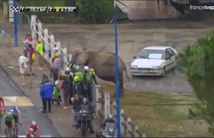 Slalom printre elefanţi » Nibali a sugrumat o competiţie în care doar fauna mai ridică sprîncene :D