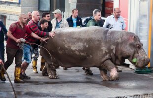 FOTO Gest impresionant » Un fost jucător al lui AC Milan a ieșit în stradă pentru a ajuta victimele inundațiilor