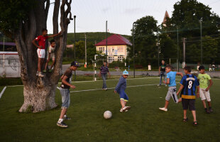 FOTO Copacul-fundaş :) Ciudăţenie pe terenul sintetic din Mureş: un stejar se află pe una dintre extremele gazonului