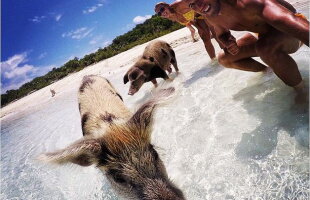 Cea mai tare fotografie de vacanță îi aparține lui Harry Kane! Uite cu cine a făcut baie în Bahamas