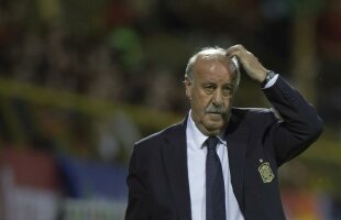 Iordănescu i-a explicat lui Del Bosque de ce se va juca la Cluj meciul cu Spania : "Terenul e mai bun"