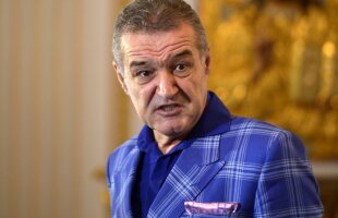 REPORTAJ INCREDIBIL Jaful SCANDALOS din pădurea Băneasa! "Becali muta stejarii din pădure în propria curte"