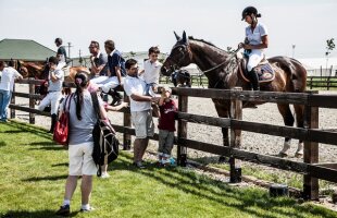 România atinge un record absolut în istoria Balcaniadei » 278 de cai, din 9 ţări, au ajuns la Bucureşti pentru a participa la Balcaniada Ecvestră