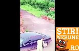 VIDEO Un hoț a avut șocul vieții lui când a vrut să spargă o mașină