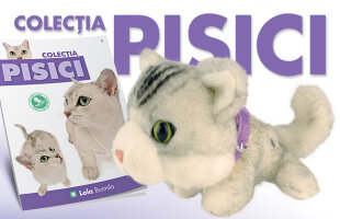 De luni, 14 august, Gazeta Sporturilor iti aduce a douăsprezecea pisicuta din colectie!