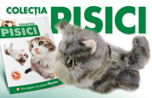 De luni, 28 august, Gazeta Sporturilor îți aduce a treisprezecea  pisicuță din colecție!