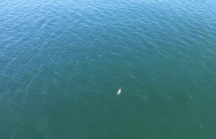 VIDEO A vrut să scape de poliţie şi s-a aruncat în ocean. Ce a urmat este şocant!