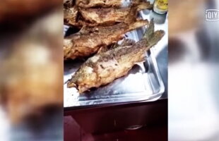 VIDEO Imagini incredibile! Un pește a început să miște după ce a fost prăjit