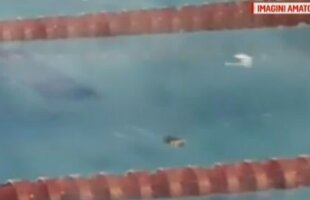 FOTO Imagini îngrozitoare la bazinul olimpic "Lia Manoliu": șobolan pe culoarul 7! 