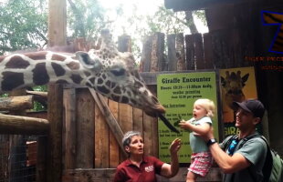 VIDEO Cele mai tari reacţii ale copiilor la zoo. Peste 77 de milioane de oameni s-au amuzat teribil!